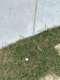 Beer bottle caps