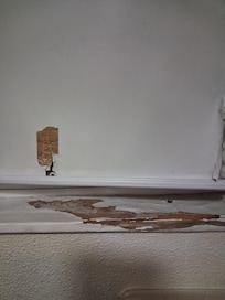 That's the window blind ripped and windowsill smashed