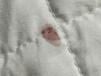 Blood on blanket.