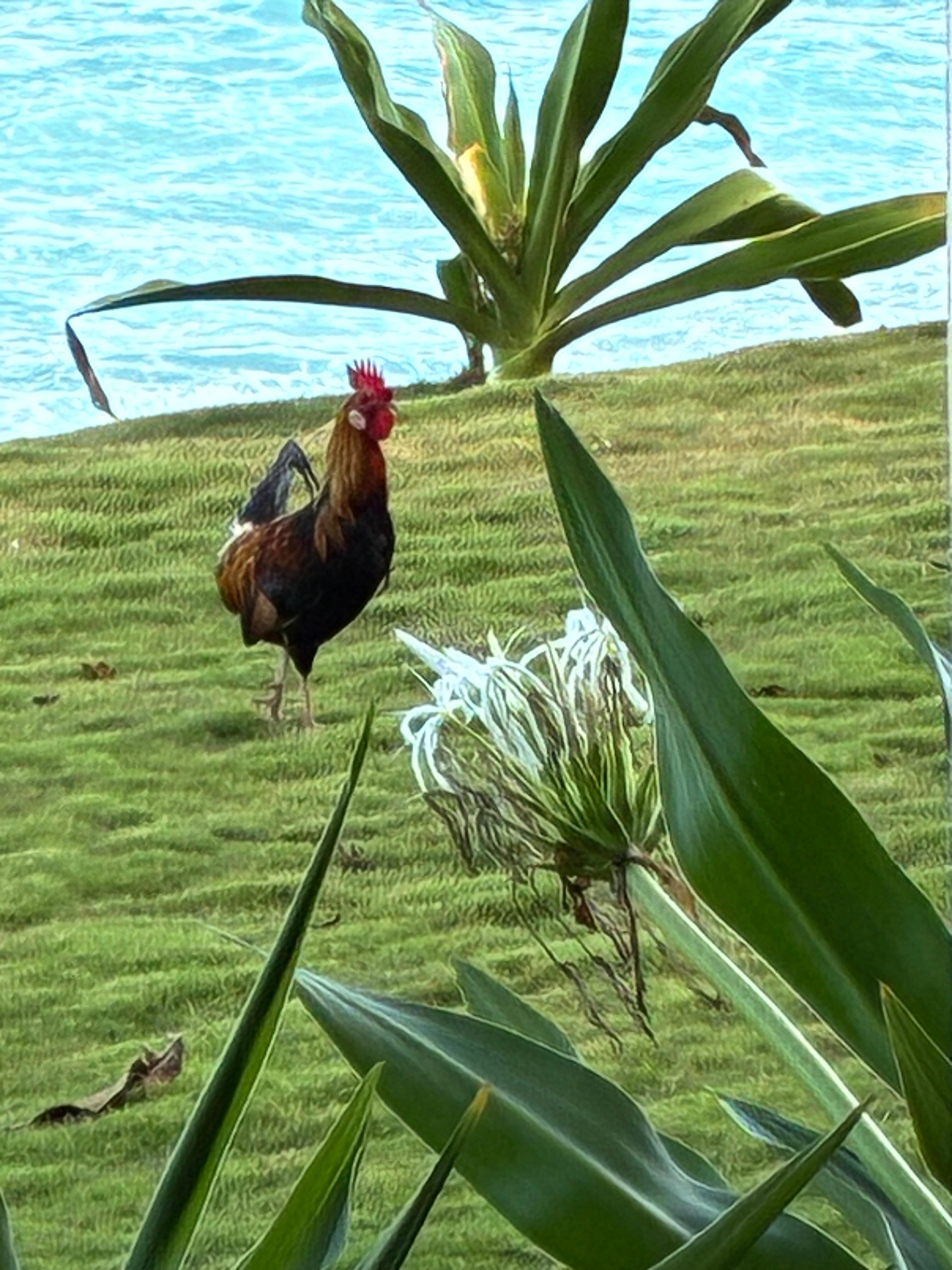 Local alarm clock 