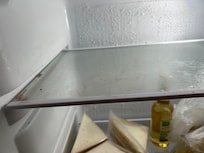 mold in the fridge