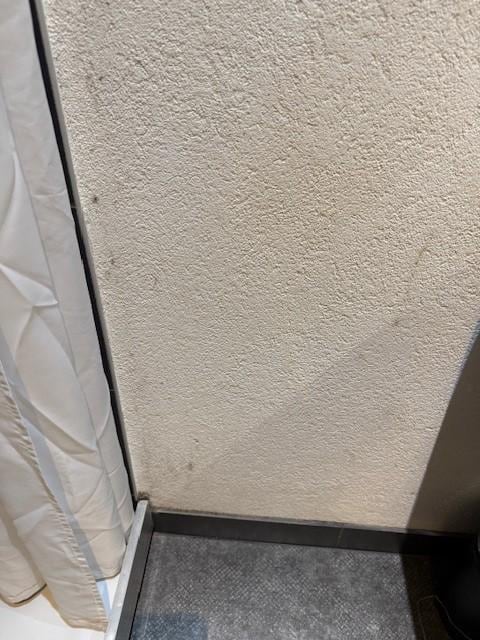 Mold/Mildew in Shower