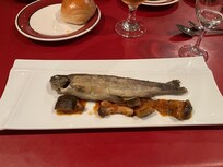 今朝まで忍野八海で泳いでいたニジマス