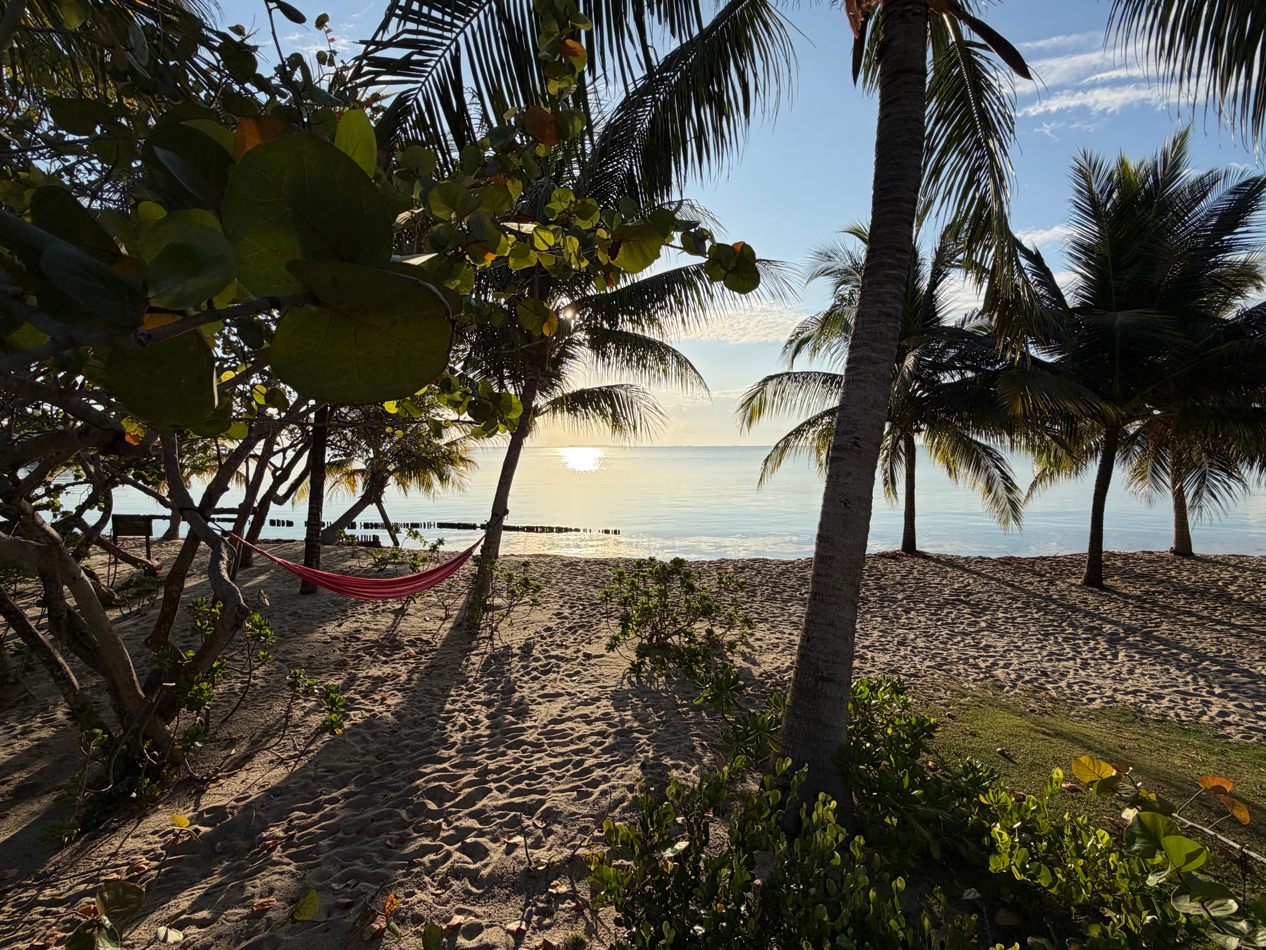 Morning sunrise drinking coffee