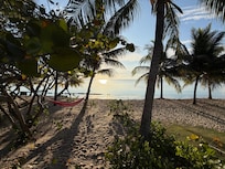 Morning sunrise drinking coffee