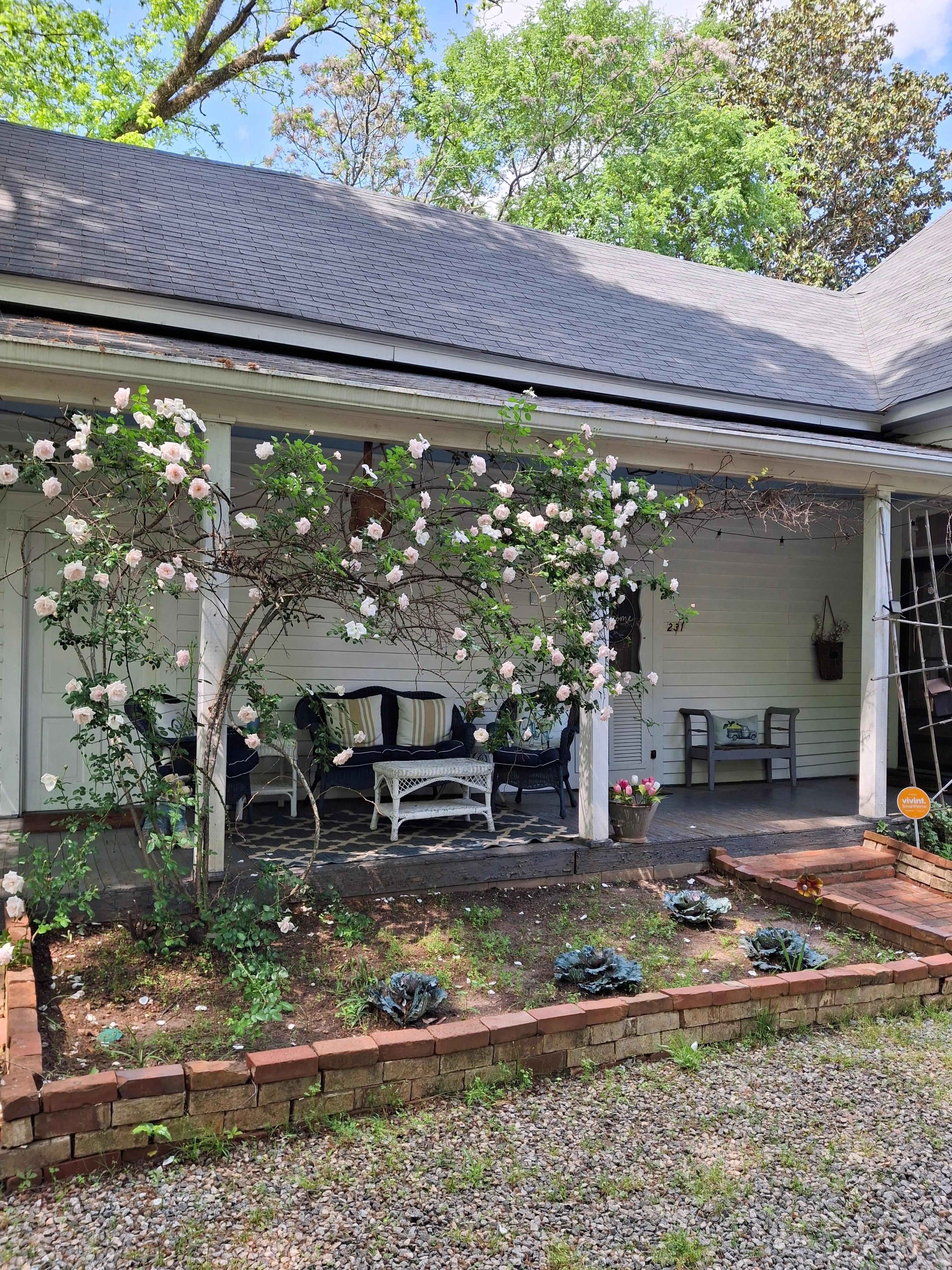 The back/side porch
