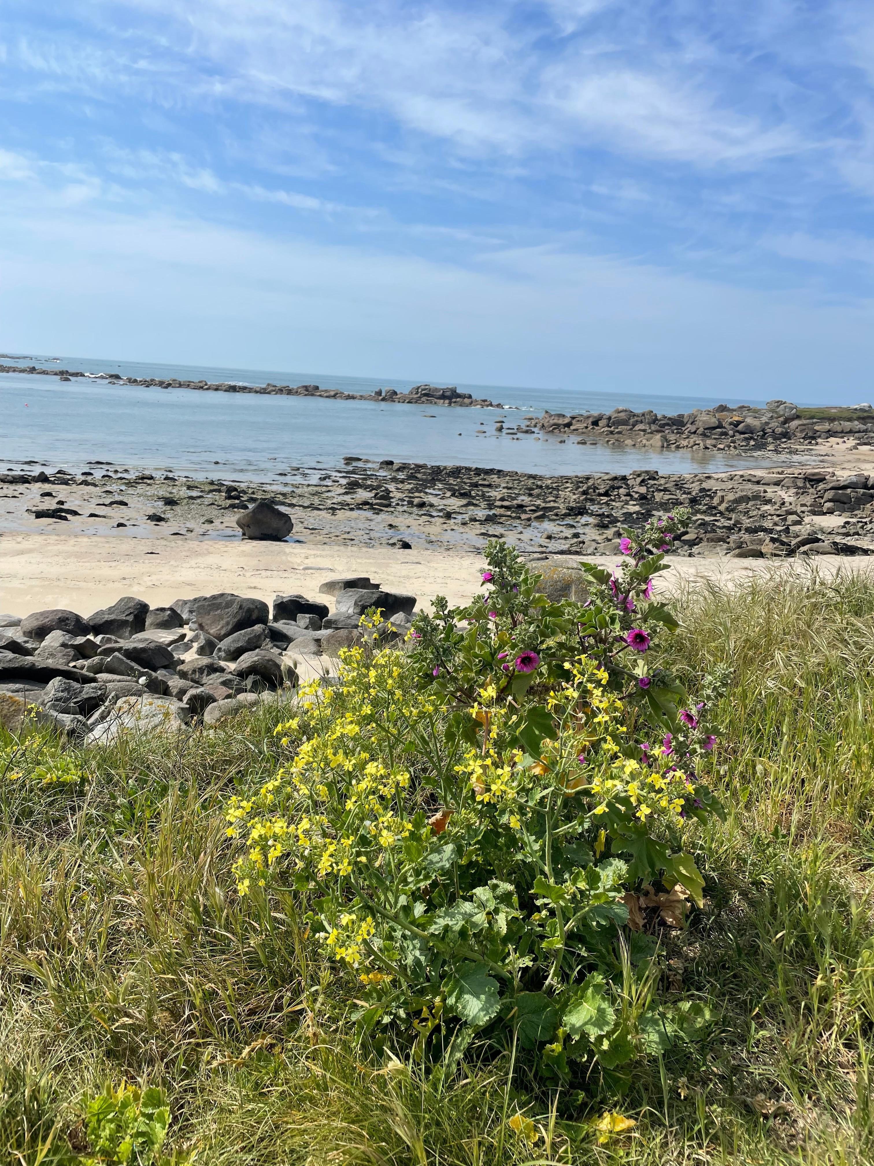 Dans les environs