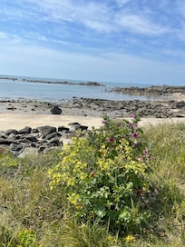 Dans les environs