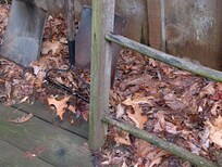 Leaves around porch