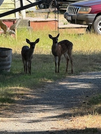 Neighbors