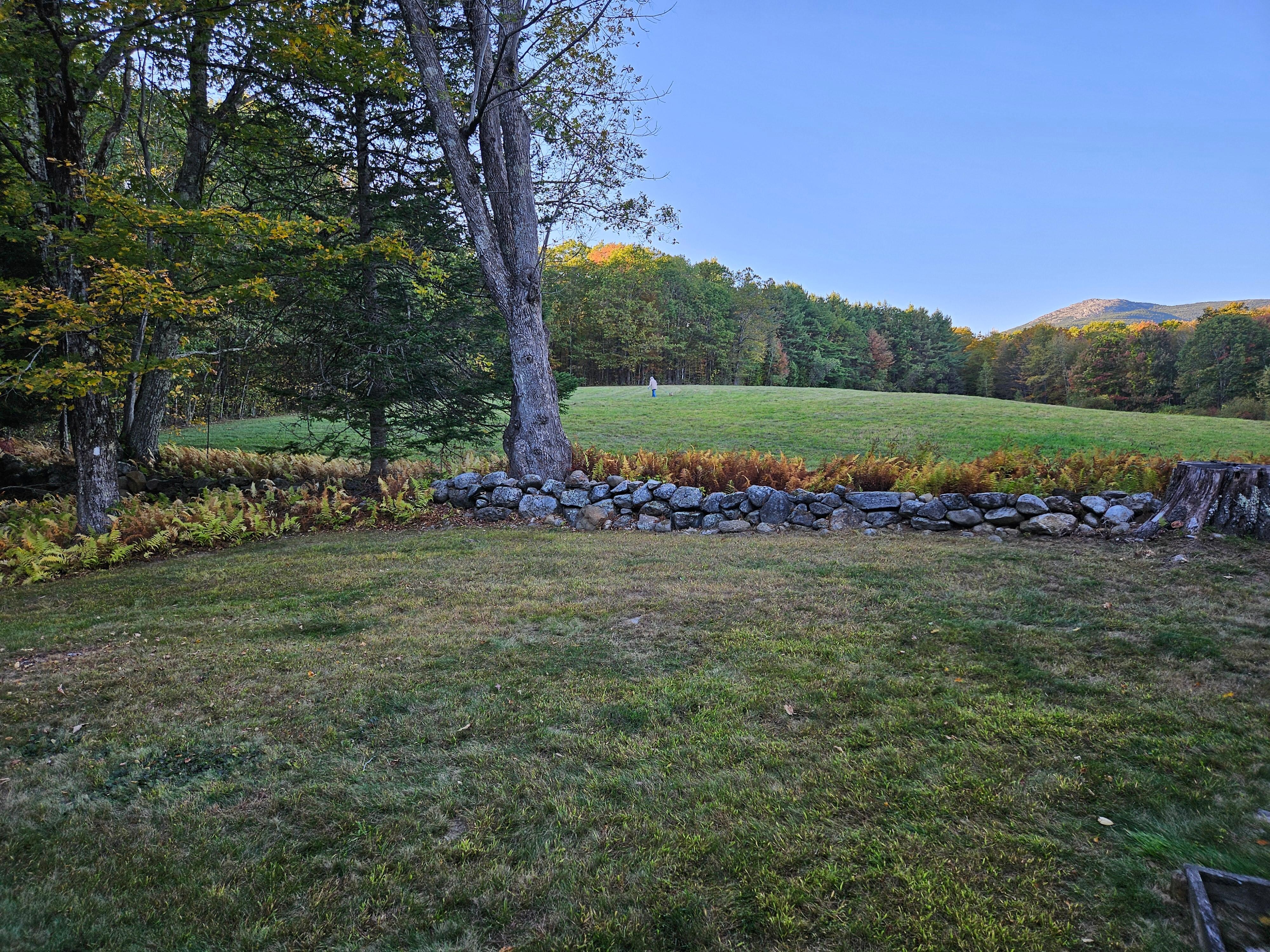 The view of Mt. Monadnock from the backyard.