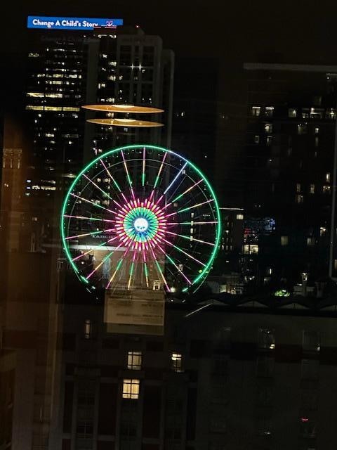 Not a fabulous pic, my phone camera isn't great....but we enjoyed seeing the ferris wheel from our room.