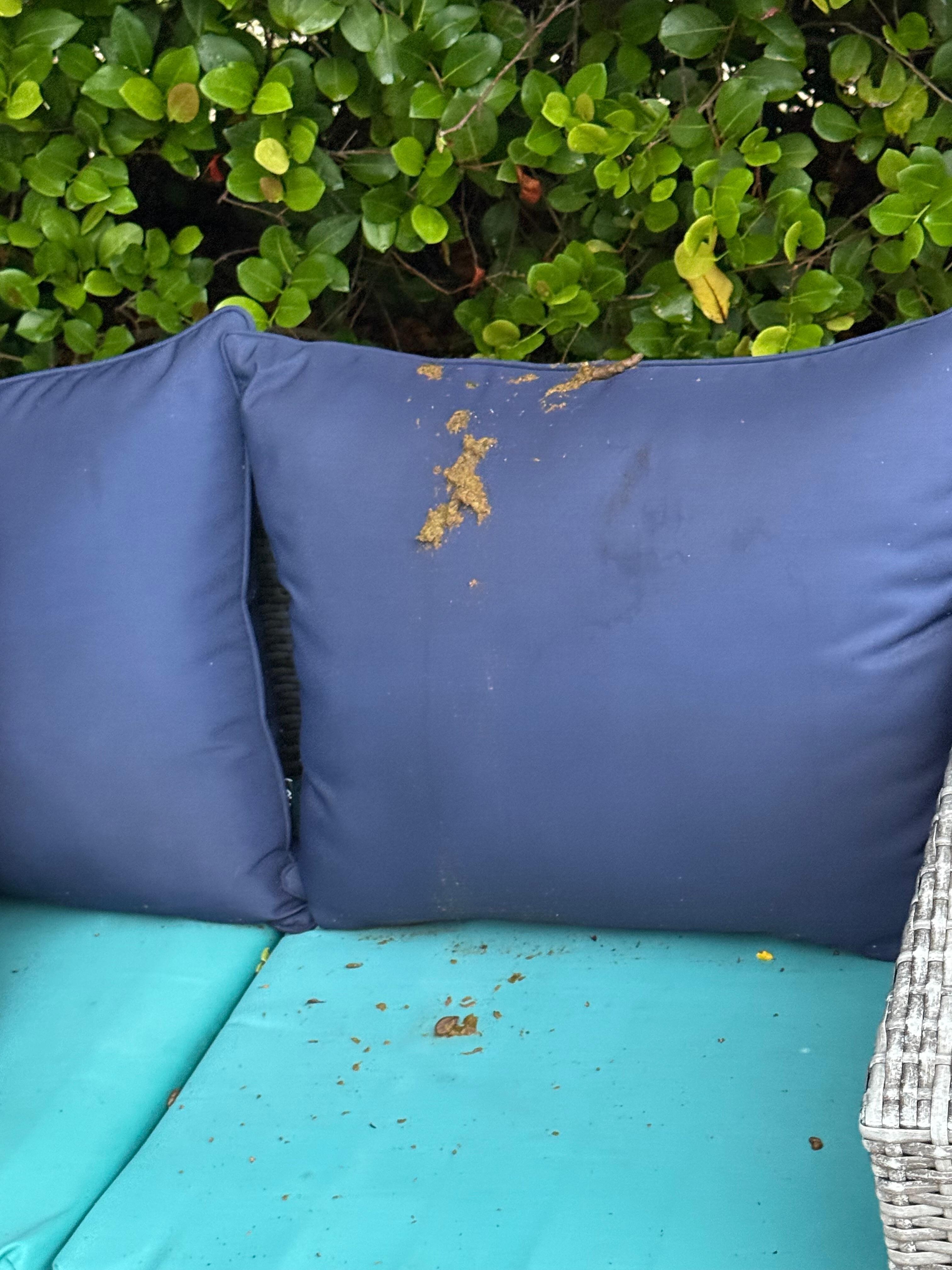 Outdoor seating 