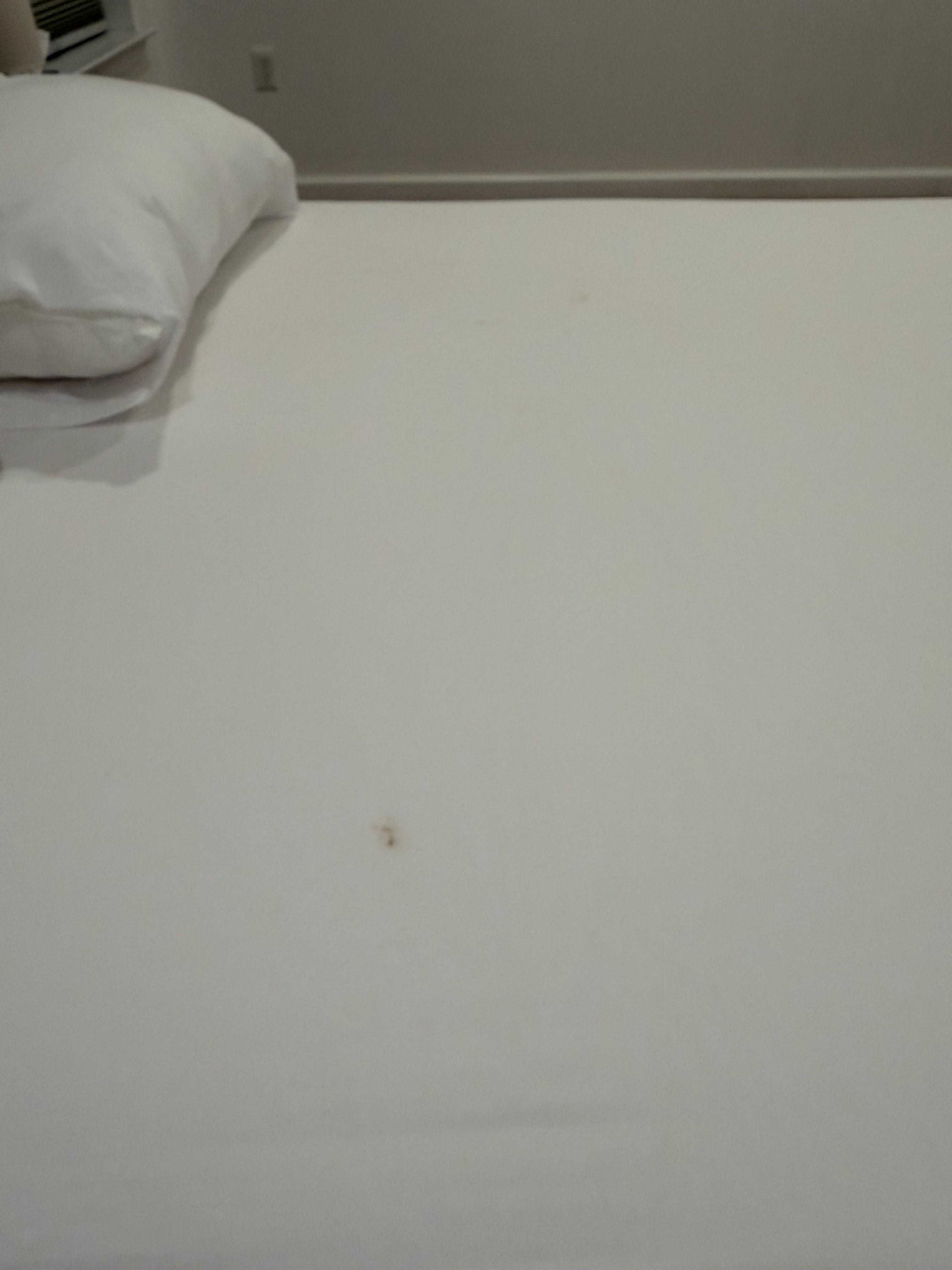 Clean but stained sheet primary bedroom