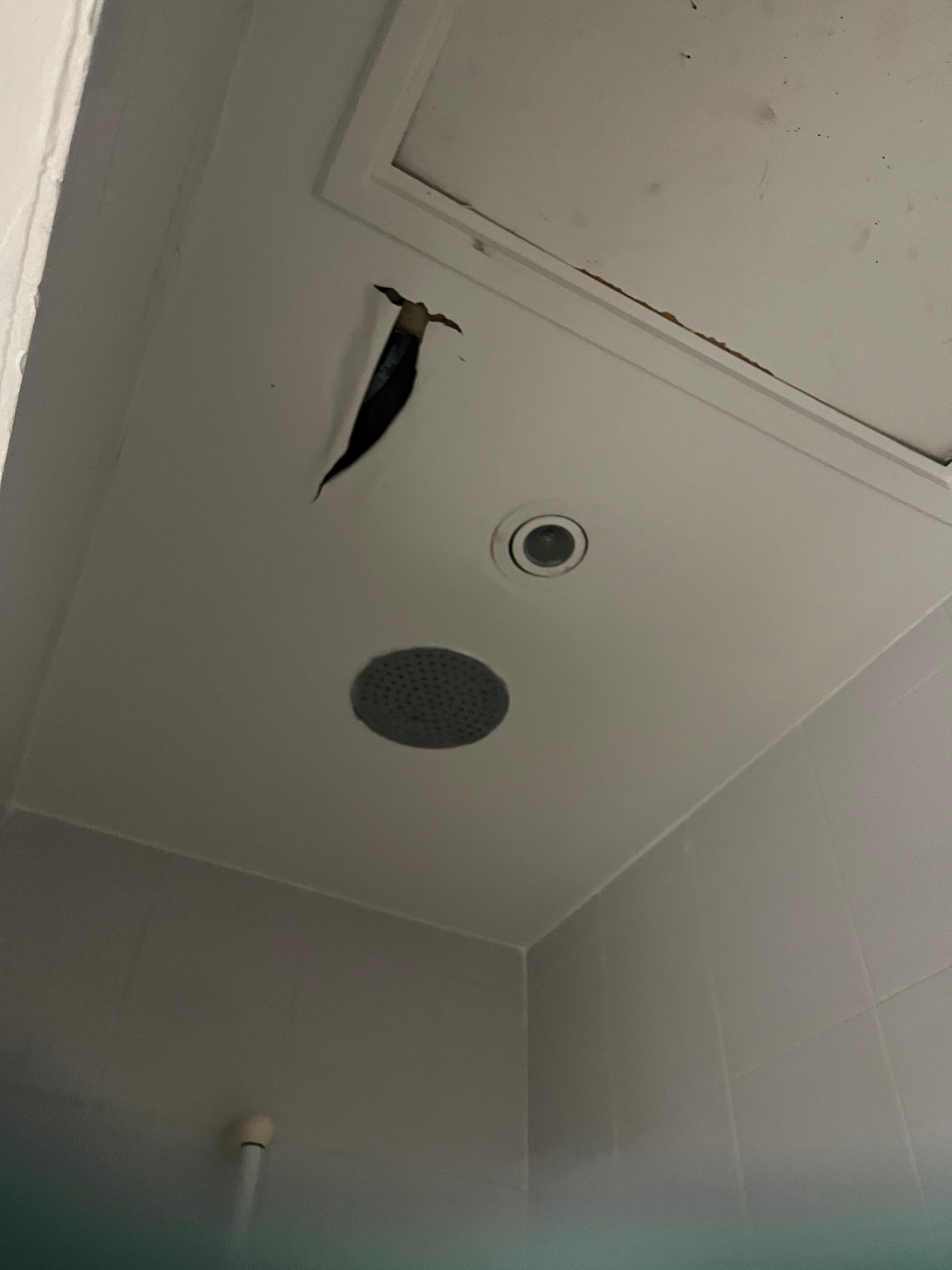 The light is not working for obvious reasons but that ceiling is dripping and may fall on a visitor