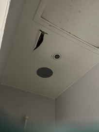 The light is not working for obvious reasons but that ceiling is dripping and may fall on a visitor