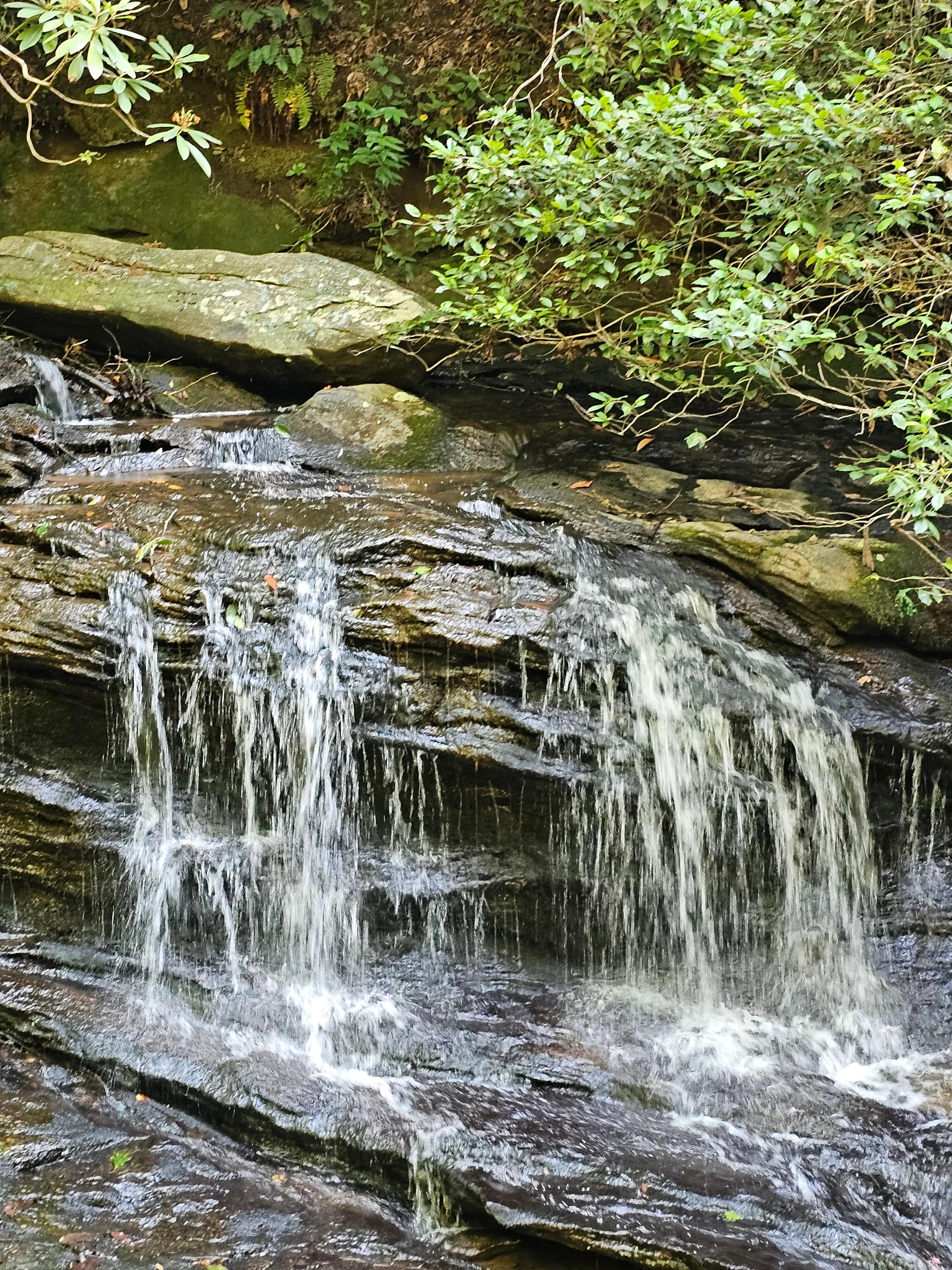 Pleasant Ridge