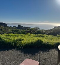 Deer walked right up to the back porch while having coffee.