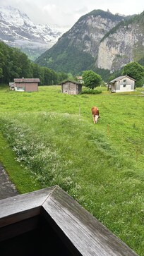 Woke up to visitors this morning