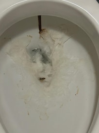 The toilet when I checked in