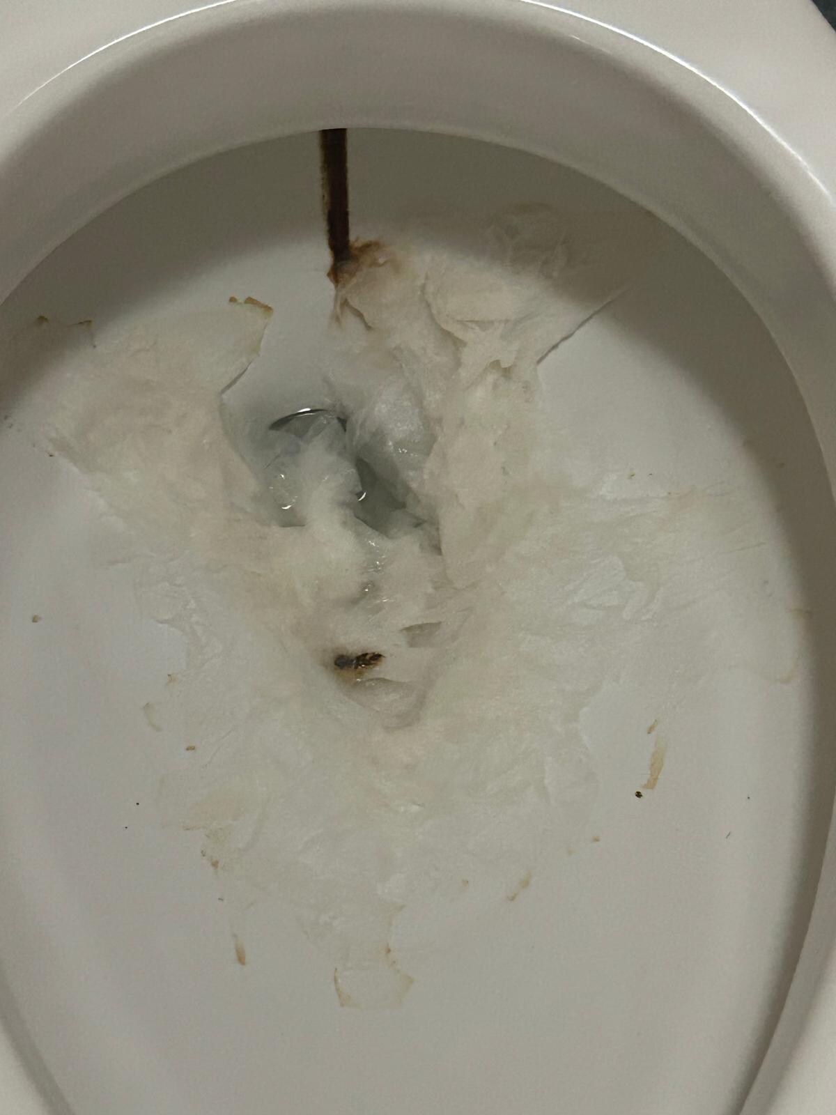 The toilet when I checked in