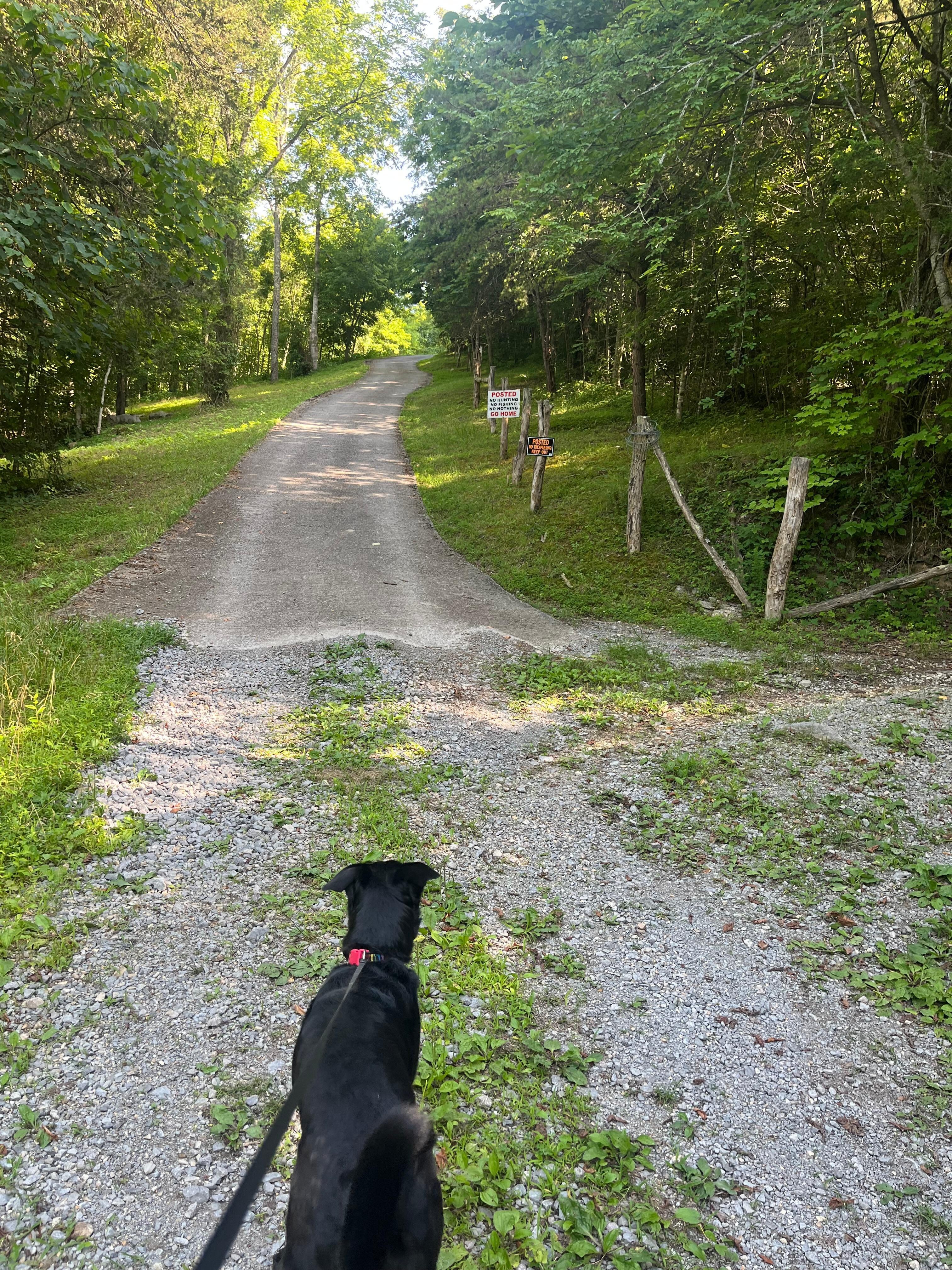 Before me and my daughters were threatened day 1. No trespassing 
