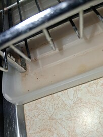 Dish rack has dirt and mildew on it.