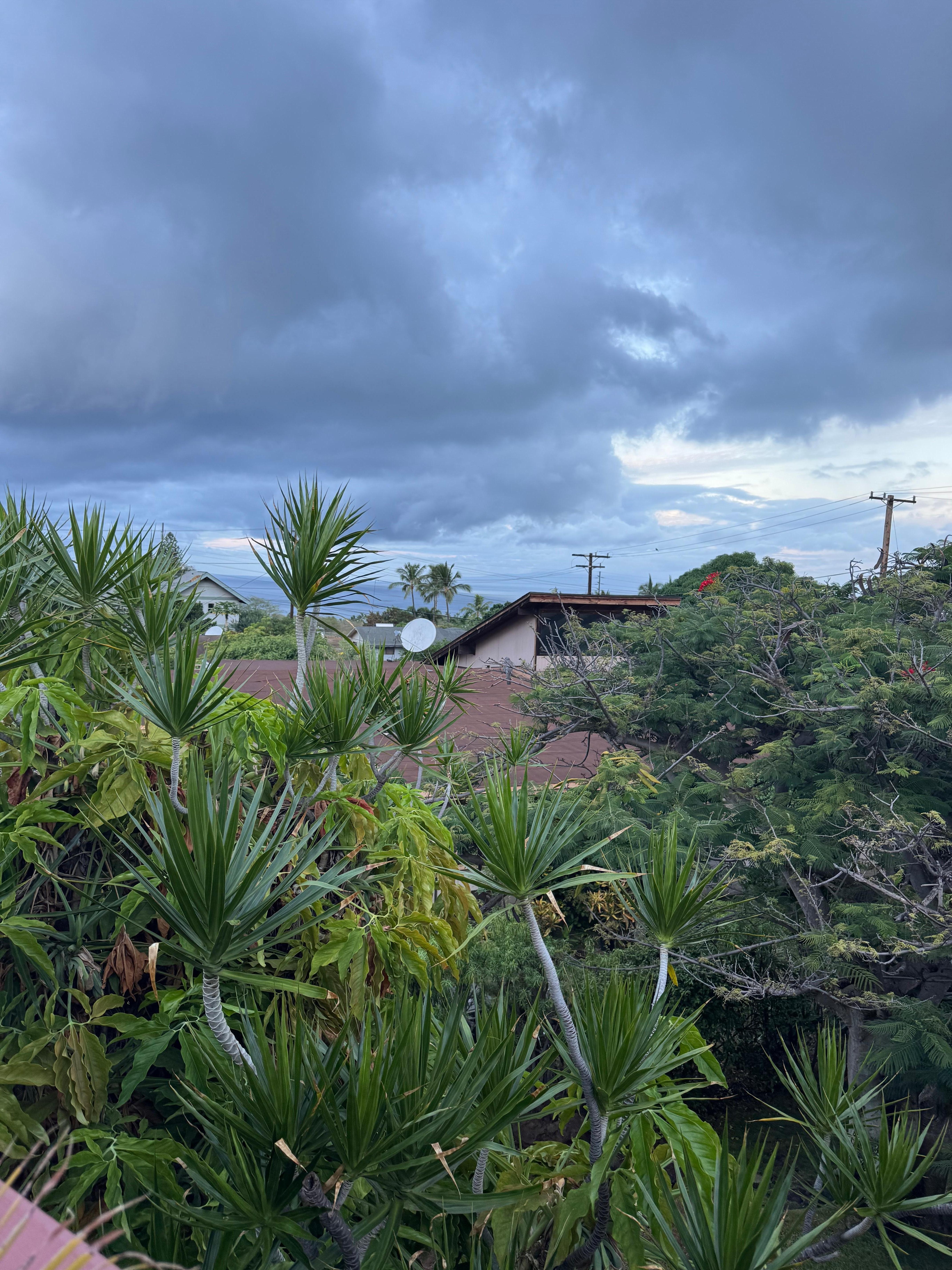 That view from the balcony! 