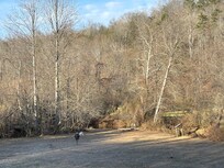 Looking off the back porch towards the creek.