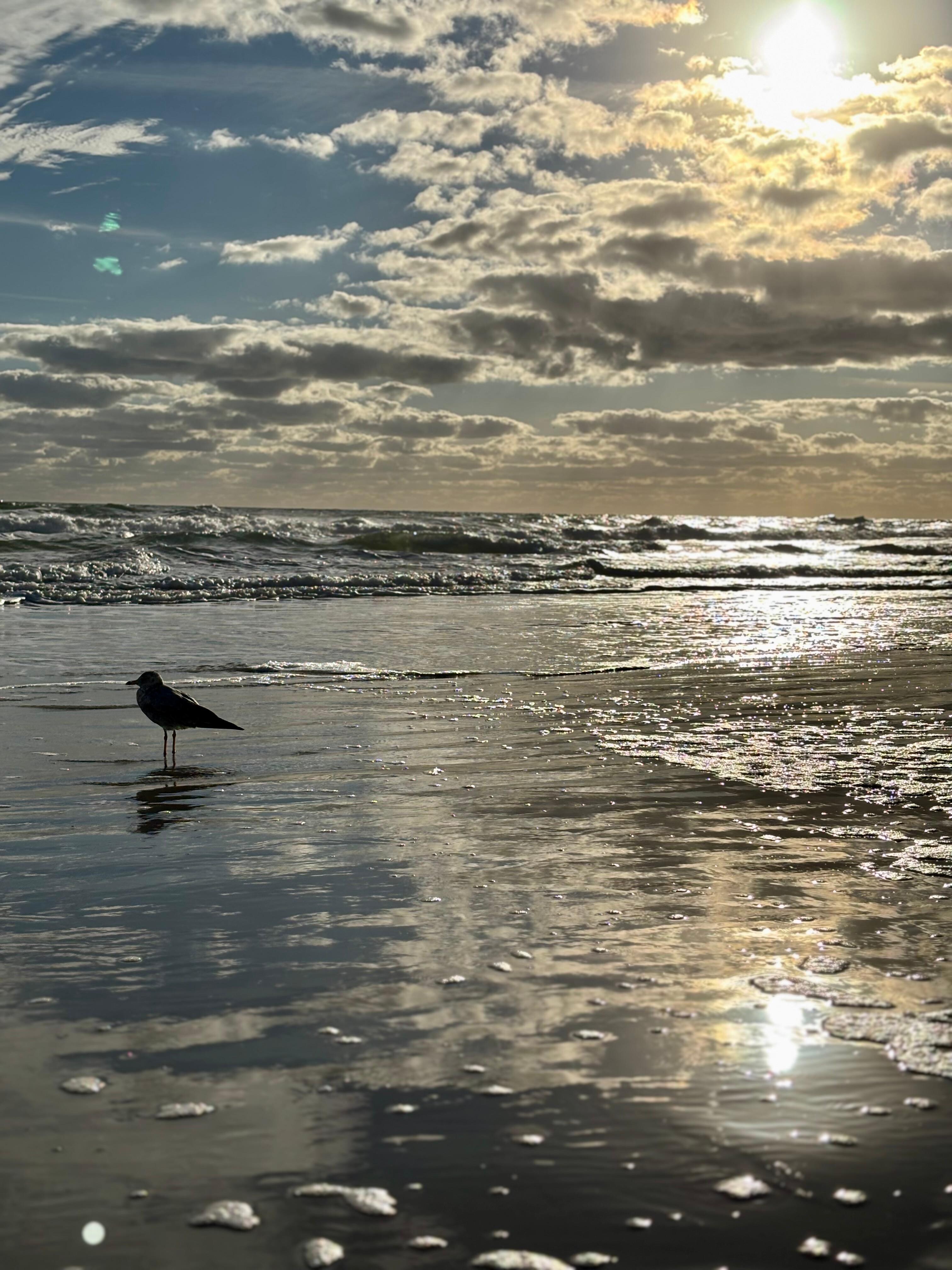 Beautiful sunrise on the beach steps away from the property. 