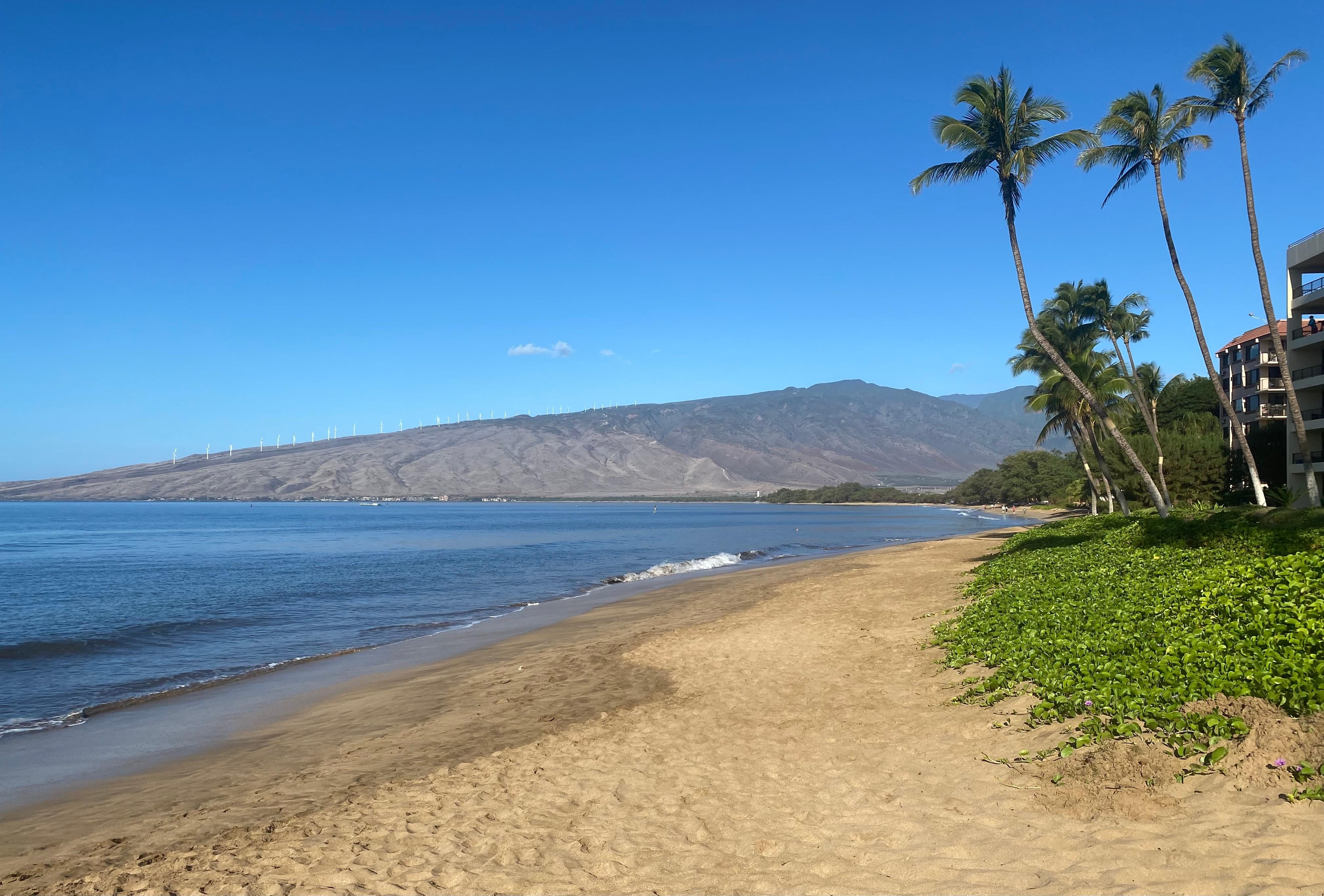 Beach was just steps away from pool.
Looking north 