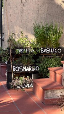 Herb garden