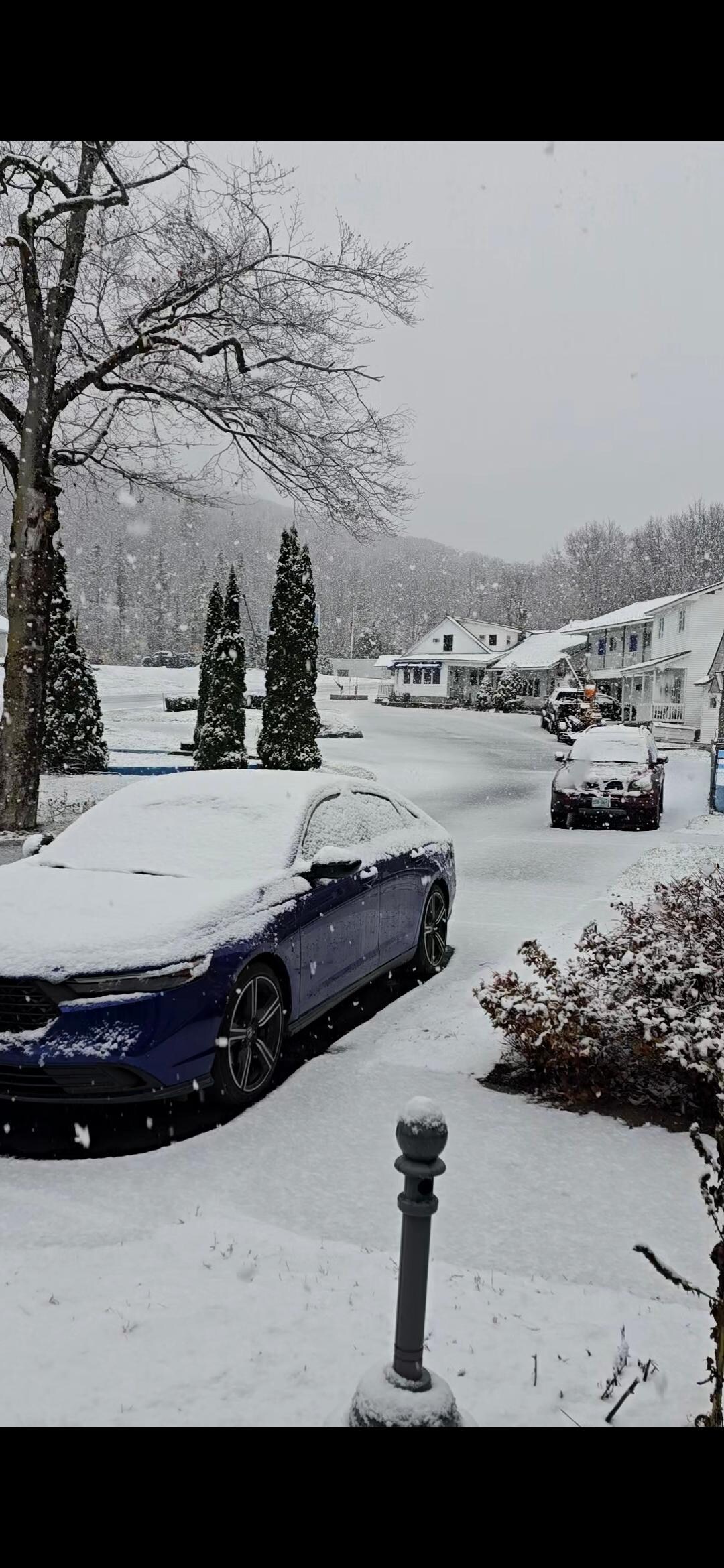 From the calm and cozy couch...loved the moments