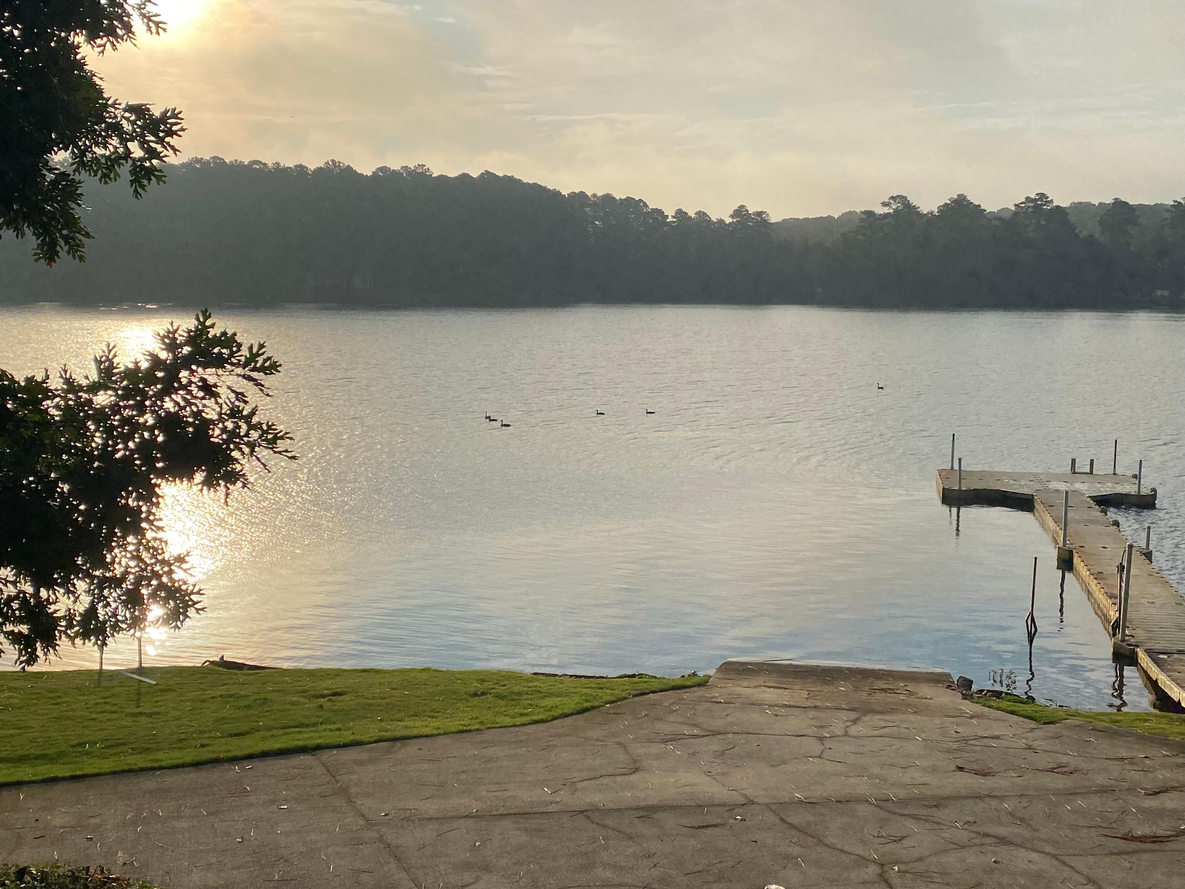 View from deck