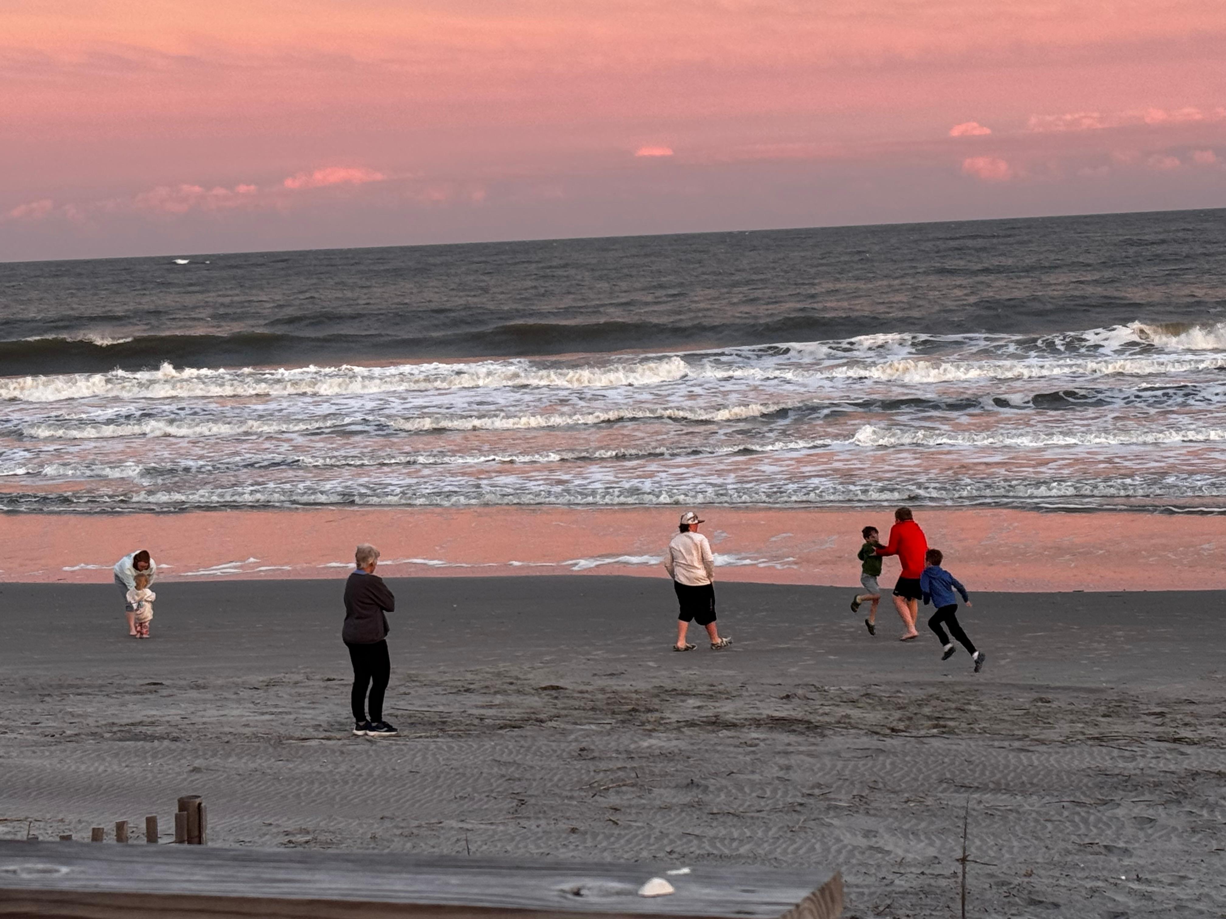 Sunset and sea shells
