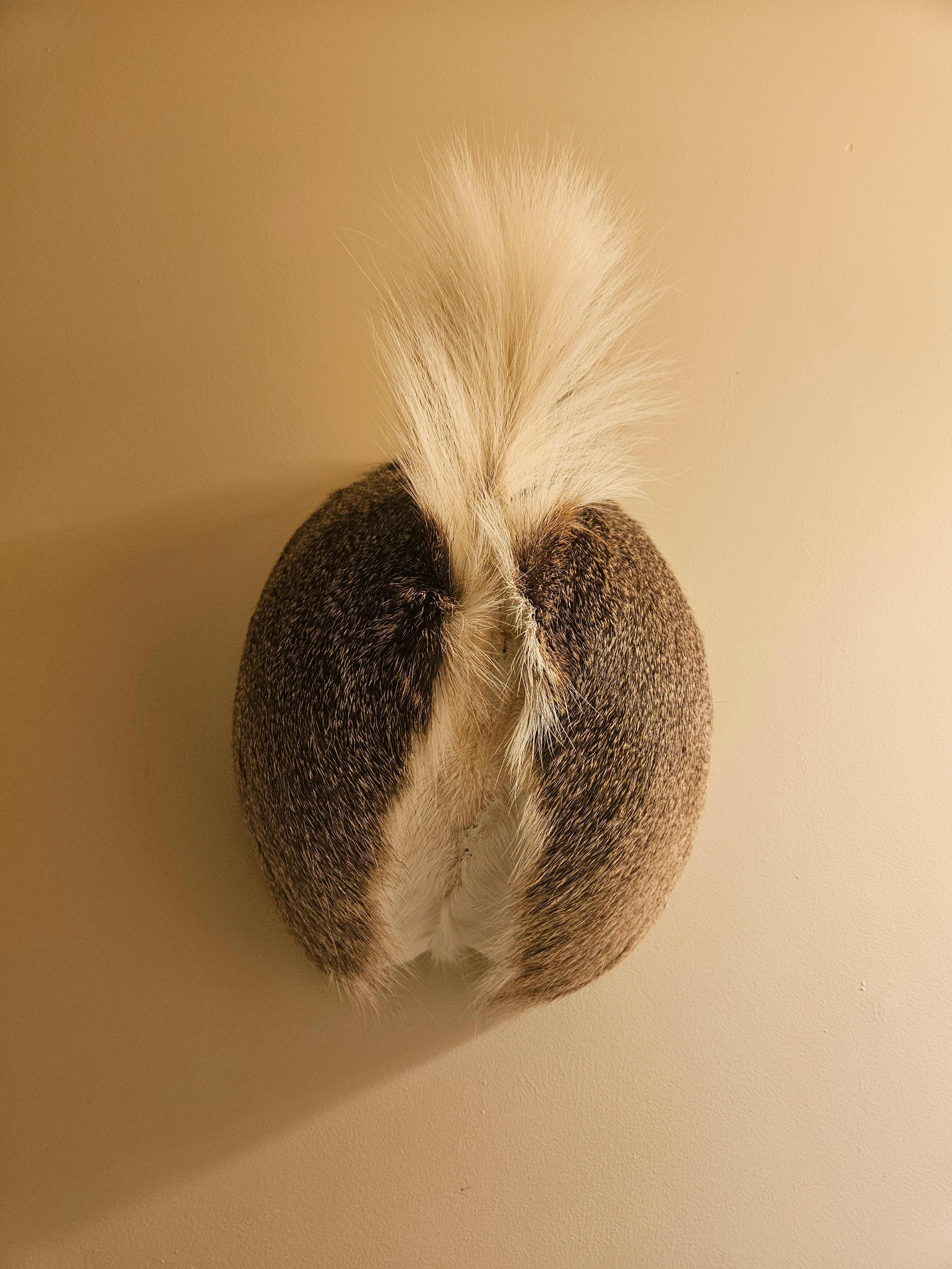 Cute little butt in the bathroom!