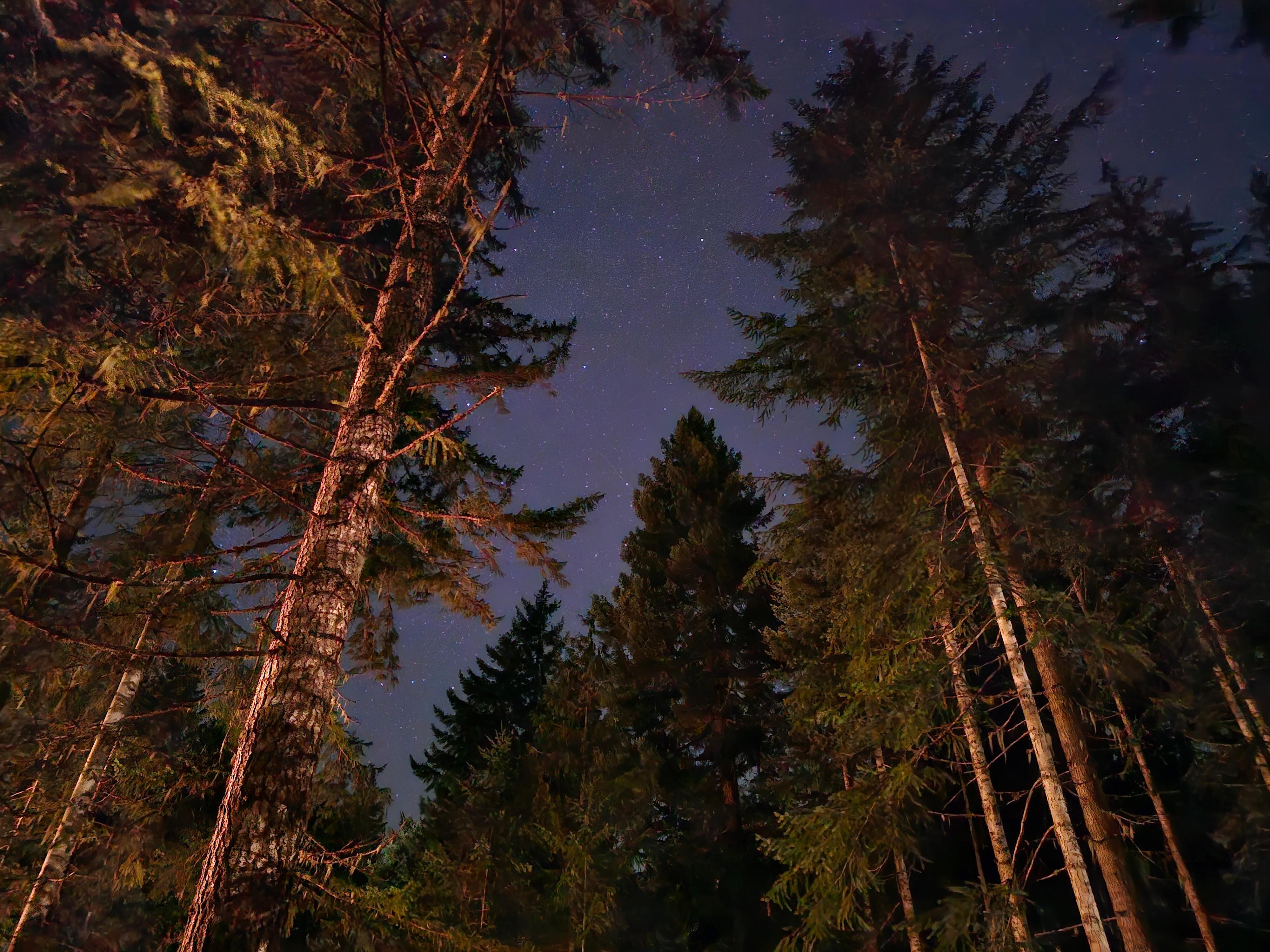 A view of the stars from the property at night!