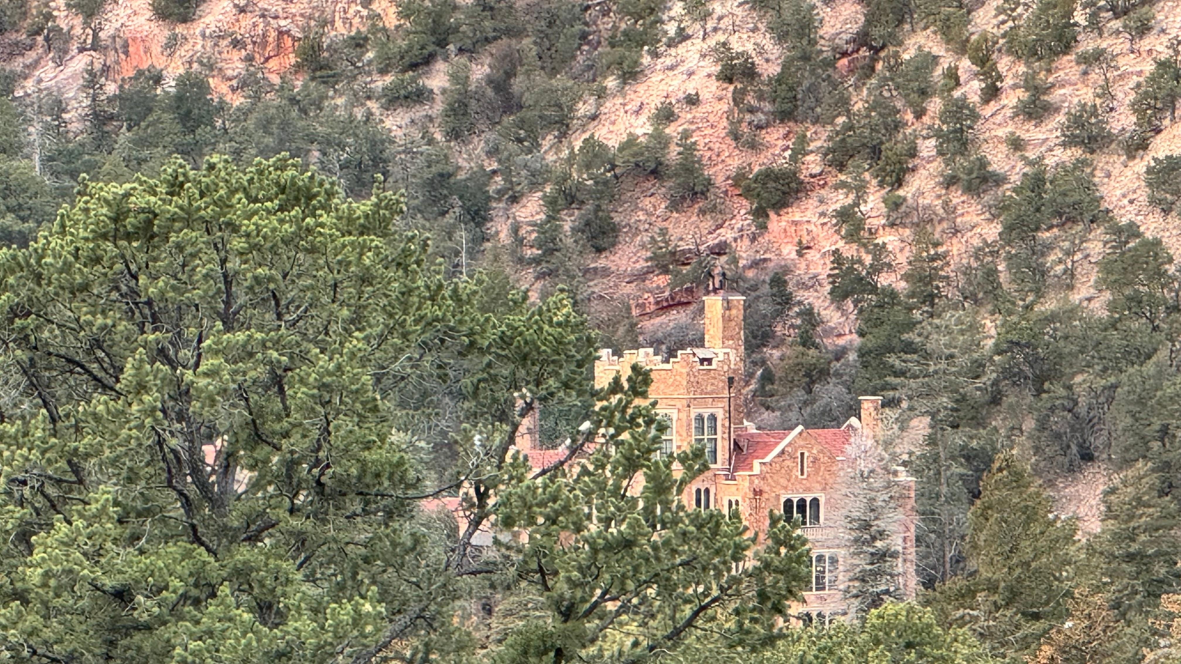 The castle in the background from a trail.