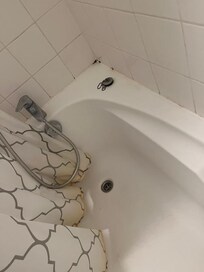 Moisissure dans les coins; drap de bain jaune de moisissure en bas