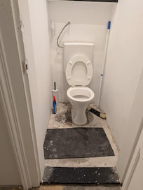 The condition of the shared toilet.