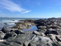 Short walk from carriage house