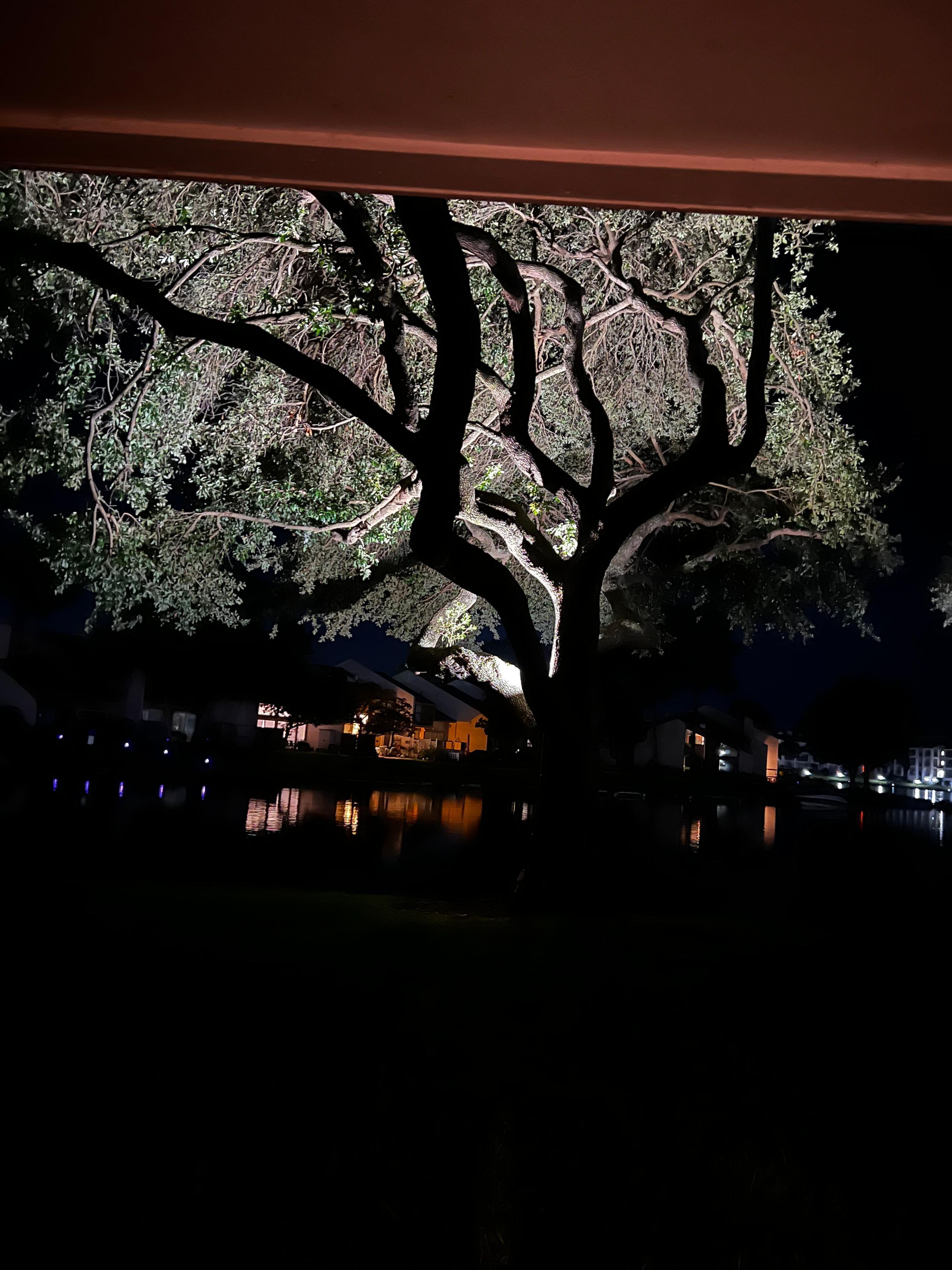 The view from the patio at night