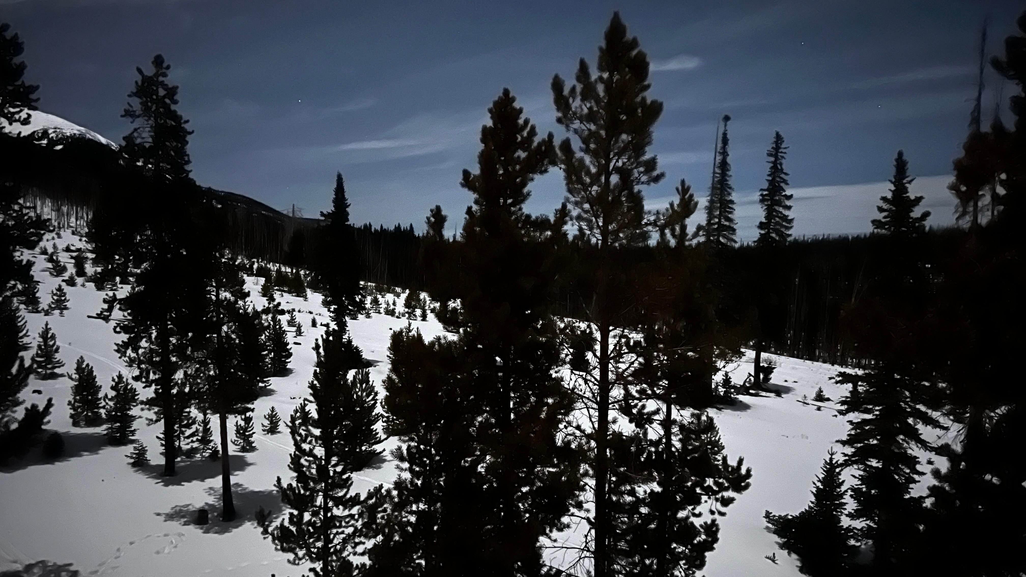 View from back window