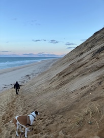 Dunes at Longnook Beach.