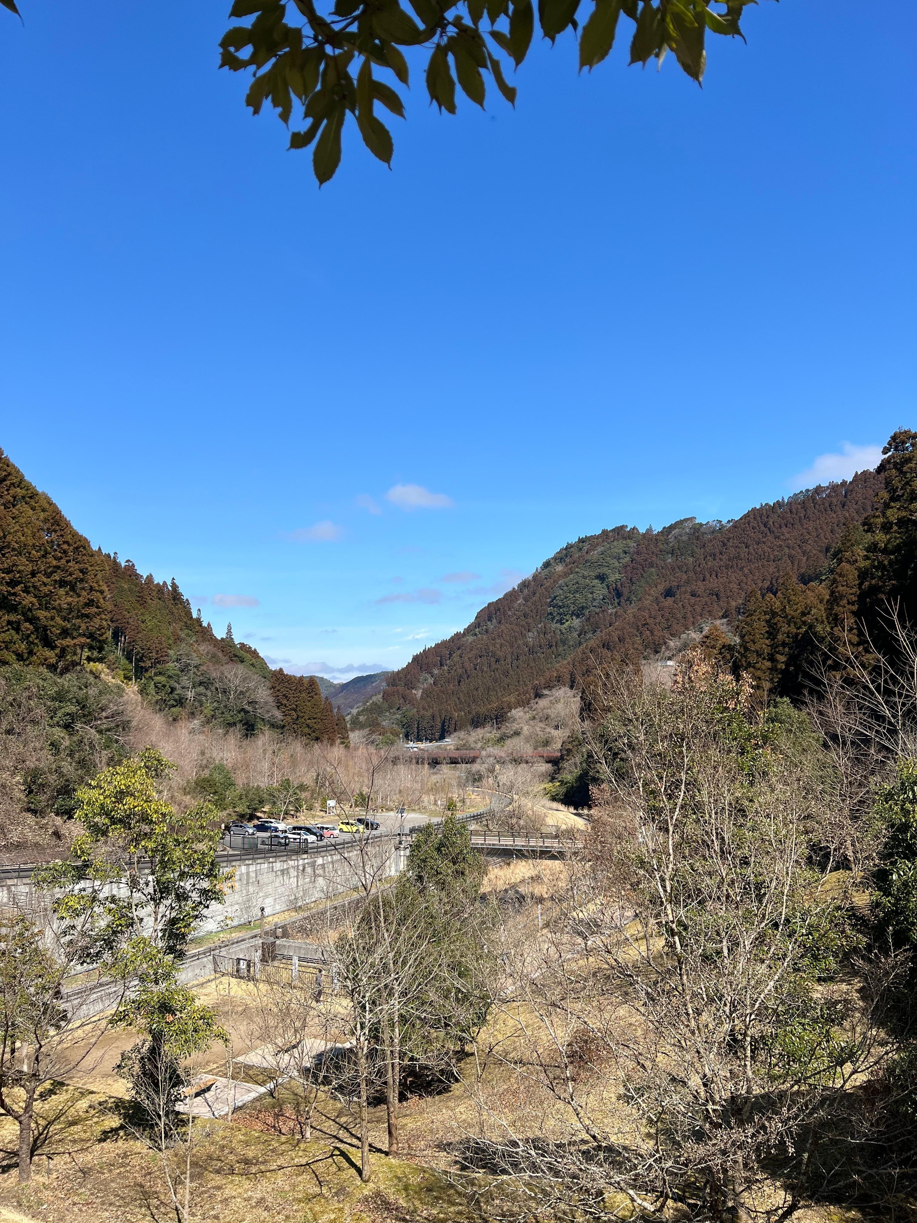 ドライブするとこの様な景色が楽しめます