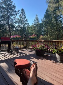 Back deck view