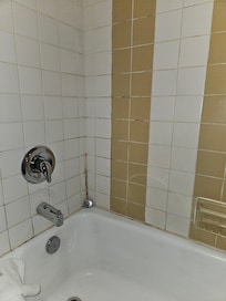 Moldy dirty shower wall