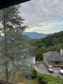 View out the back. Gorgeous.