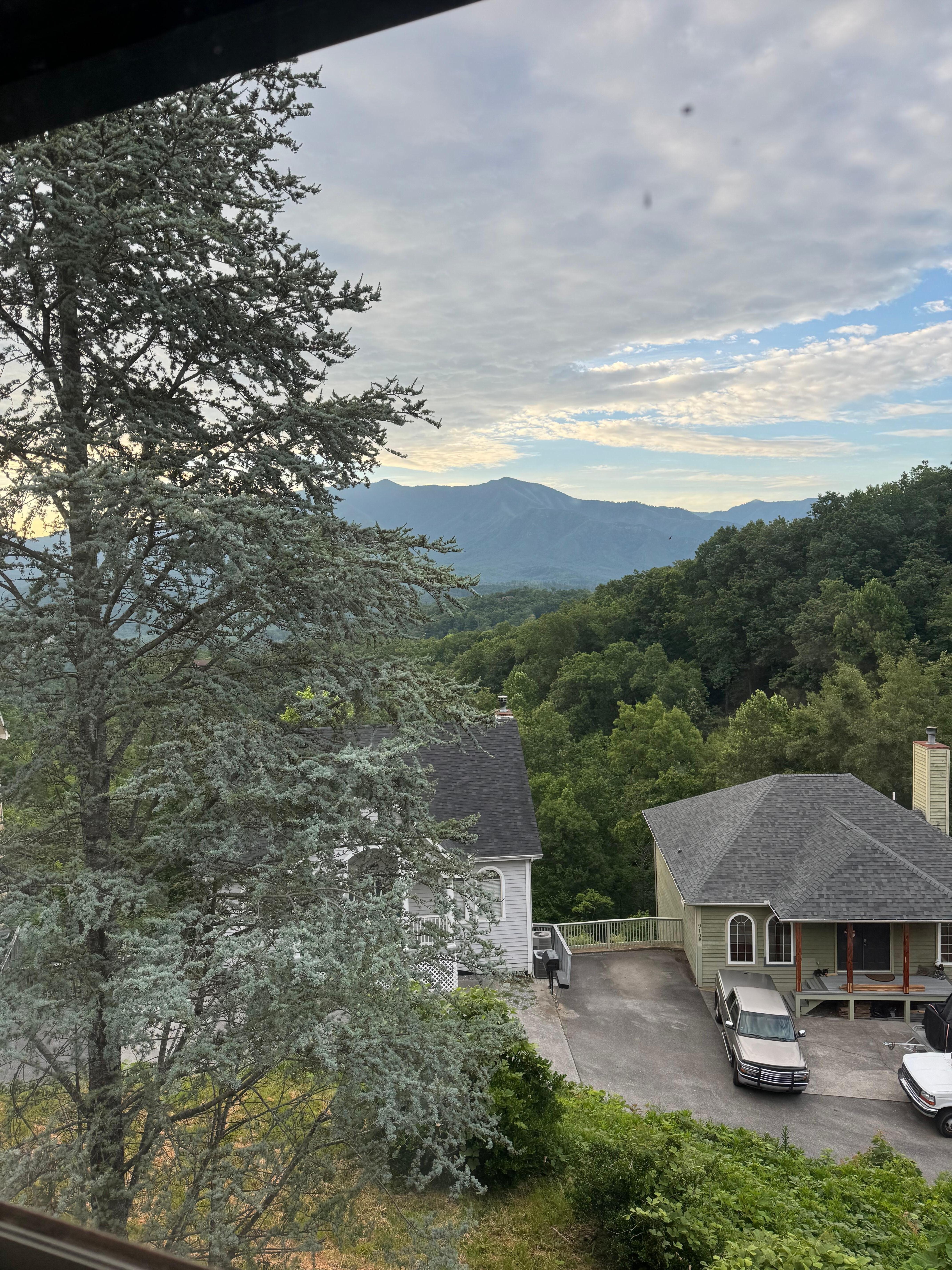 View out the back. Gorgeous. 