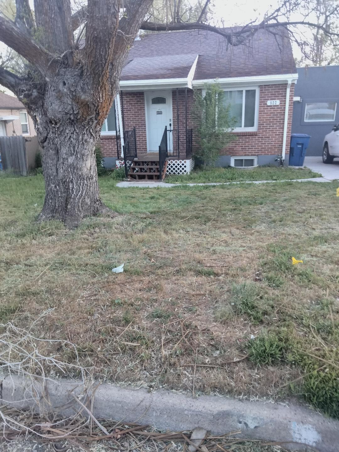 House with overgrown weeds